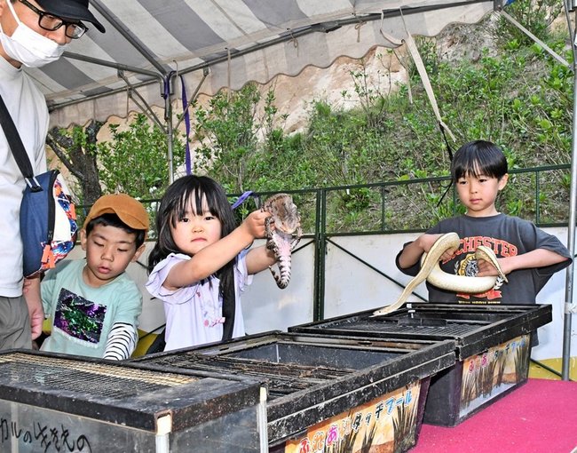 ヘビやトカゲと触れ合う子どもたち＝雲南市大東町上佐世、心の駅陽だまりの丘