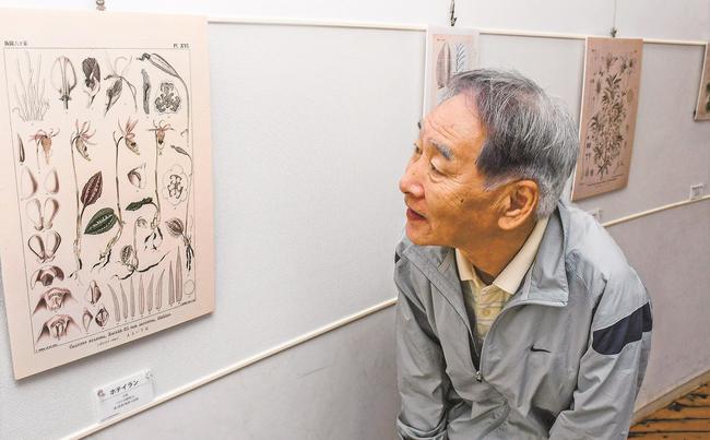 牧野富太郎が描いた植物図に見入る来場者＝鳥取県南部町鶴田、とっとり花回廊