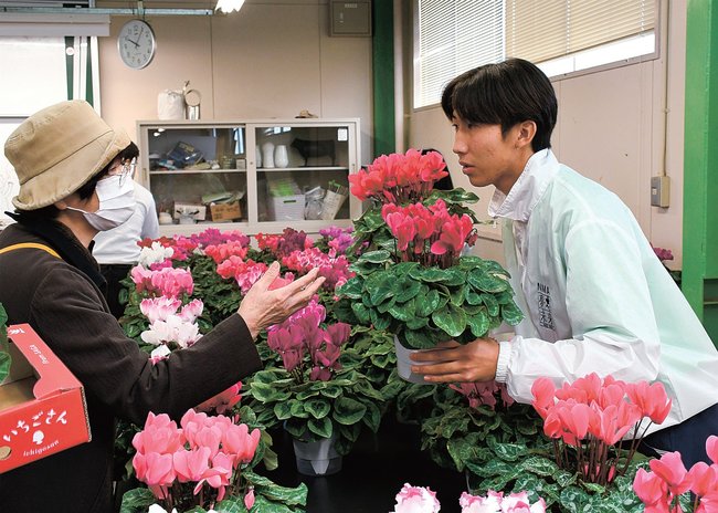 栽培したシクラメンを販売する生徒(右)=大田市仁摩町仁万、邇摩高校