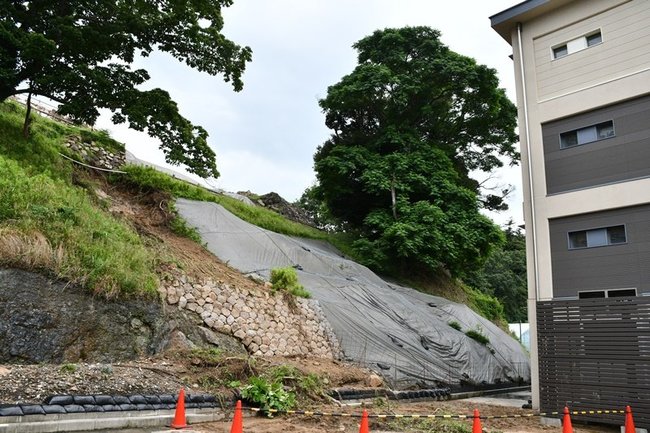 崩壊した鳥取城跡ののり面。石垣の部分は１９６６年に崩れて石垣が築かれた＝鳥取市東町２丁目