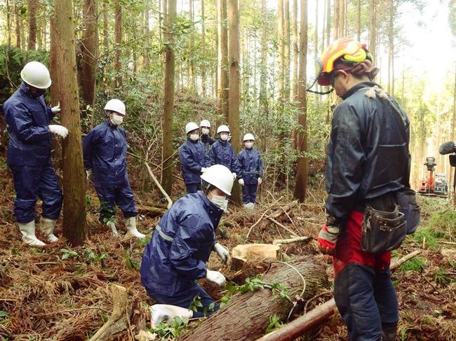 間伐現場を見学する高校生＝大田市温泉津町（２０２１年撮影）