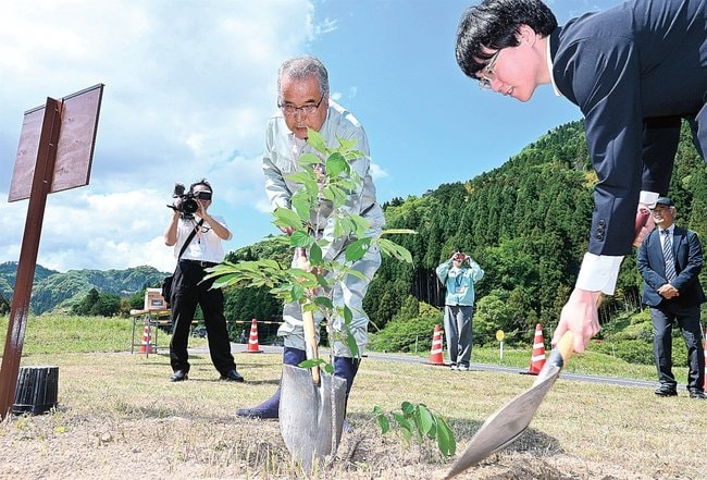 春めき桜を植樹する住民ら=出雲市見々久町、さくらロード見々久町