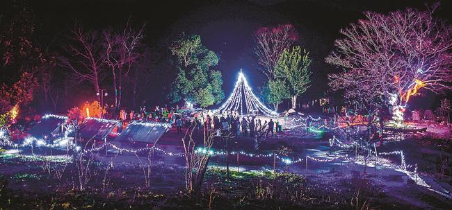 ＬＥＤで幻想的な空間となった香木の森公園＝島根県邑南町矢上