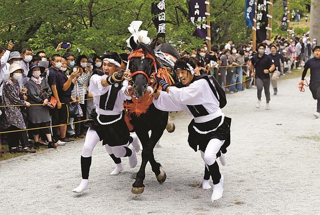 後ろ脚を大きく跳ね上げて疾走する神馬と馬付きの男衆＝島根県隠岐の島町下西、玉若酢命神社
