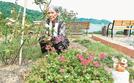 季節の花が楽しめる公園を整備した内田厚子さん＝松江市美保関町七類