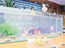 唐揚げにしたホンモロコと、カウンター上の水槽に釣り糸を垂らす日高大喜さん＝広島市中区薬研堀、Ｄ＆Ｎ