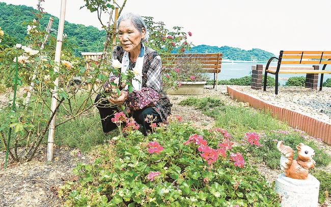 季節の花が楽しめる公園を整備した内田厚子さん＝松江市美保関町七類