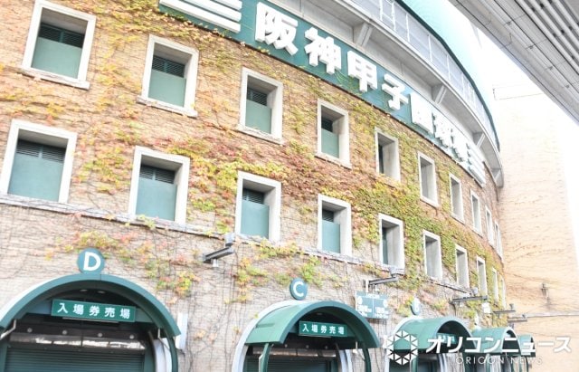 阪神甲子園球場 （C）ORICON NewS inc.