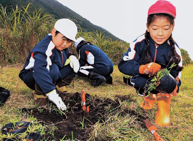 三瓶山西の原にオキナグサの苗を植える子どもたち＝大田市三瓶町