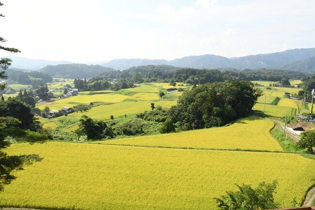 世界農業遺産認定された島根県奥出雲地域にある棚田の風景＝島根県奥出雲町中村、福頼棚田