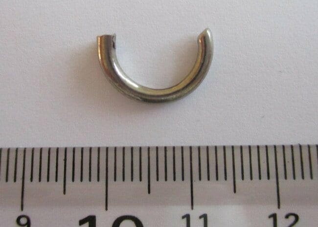 給食に混入していたリングのような異物（米子市提供）