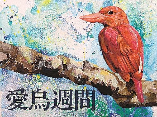 出雲北陵高の陶山さん環境大臣賞 愛鳥週間ポスター原画コンクール 島根