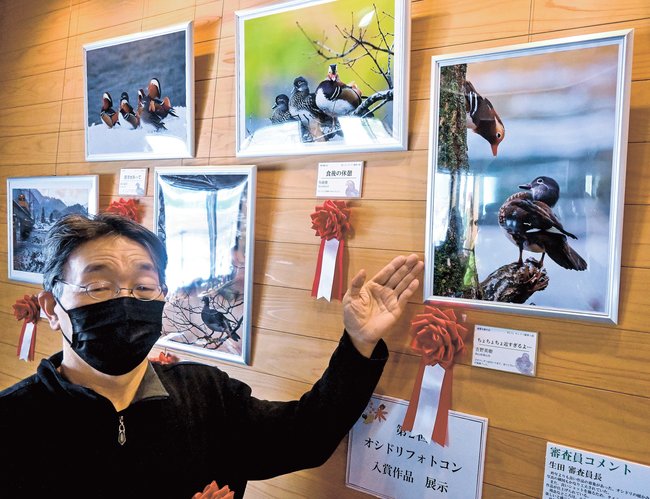 最優秀賞に輝いた作品を紹介する吉野英樹さん＝鳥取県日野町根雨、オシドリ観察小屋