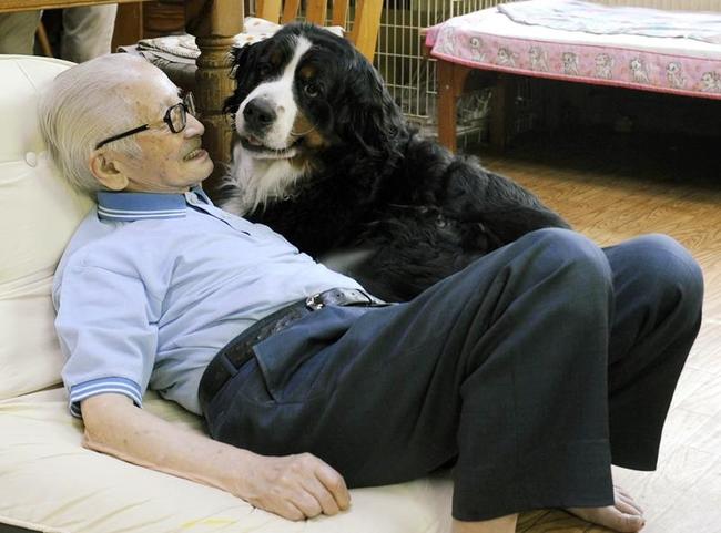 愛犬と戯れる畑正憲さん＝２０１６年６月、北海道中標津町