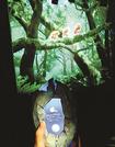 専用端末を手に、生き物の観察や記録を楽しむ「ずかんミュージアム銀座」＝東京・銀座