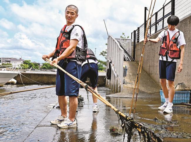 竹を使って水草をすくい取る松江商業高校の生徒＝松江市東茶町
