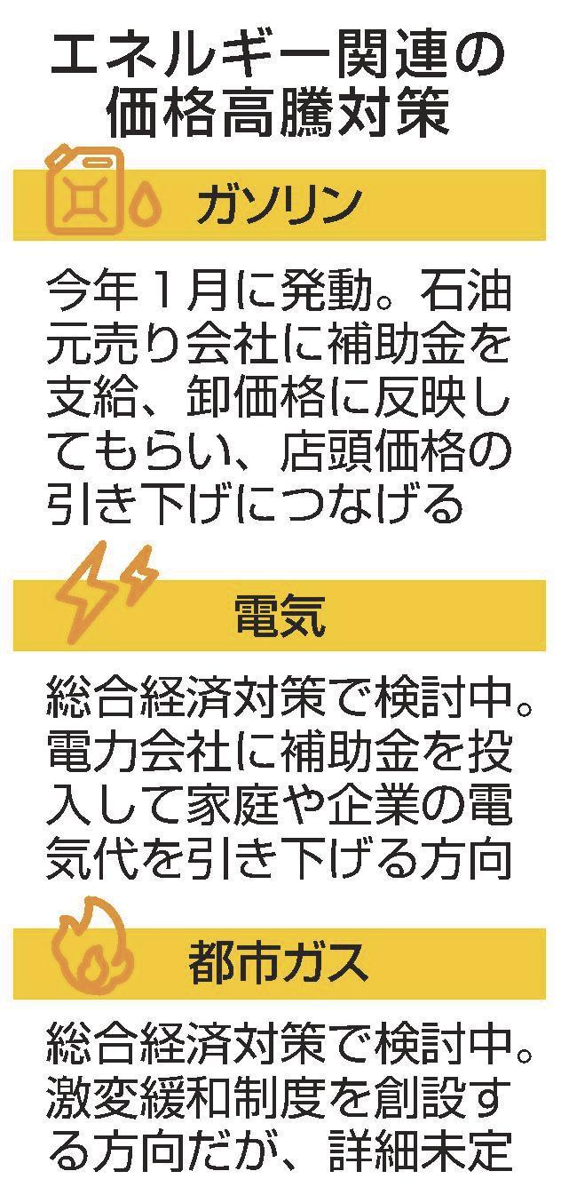 電力会社補助で料金抑制 政府経済対策 給付金案見送り | 山陰中央新報デジタル