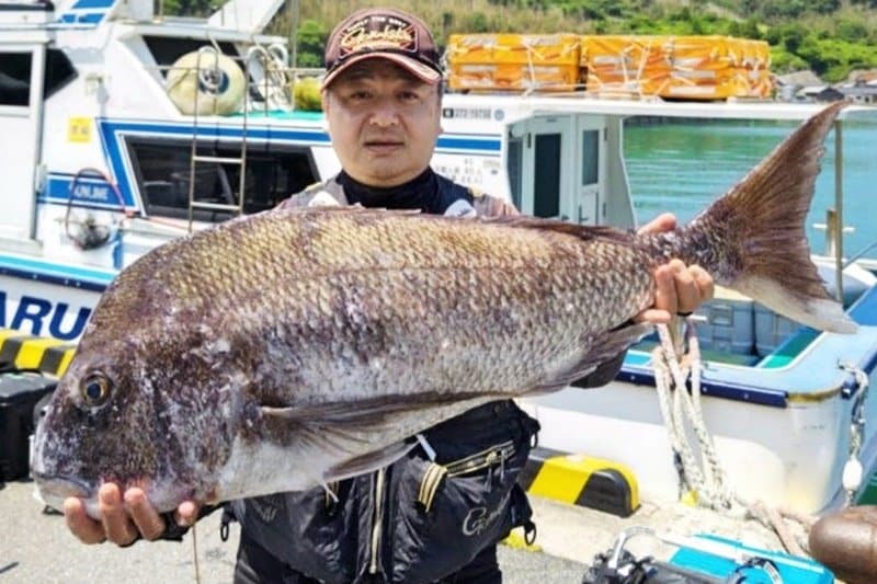 img_af505f20bacf9395c29f711f7b