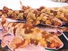 原始的な魚類に近い特徴を持つとされるトラザメ（田中幹子教授提供）
