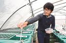 観賞用メダカを育てる矢八基希さん＝島根県邑南町雪田