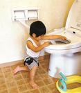 「トイレとトイレットペーパーの研究」