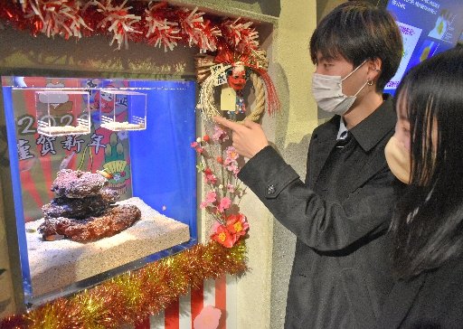 正月にちなんだ水槽を鑑賞する来館者=浜田市・江津市、しまね海洋館アクアス