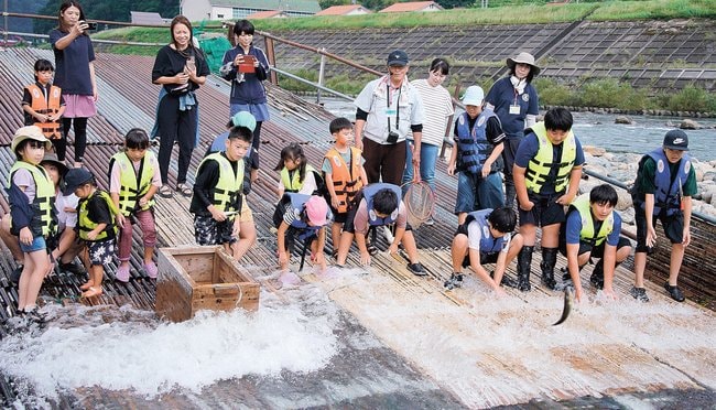 簗の上でアユを捕まえる子どもたち=島根県美郷町都賀西、江の川