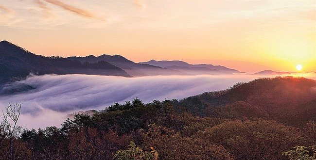 雲海が流れ落ちる両国おろし＝２０２３年１１月１６日、島根県美郷町上野の田之原展望台