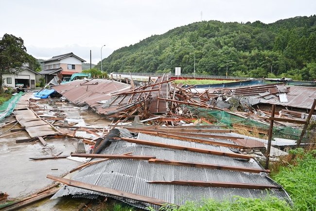 突風で倒壊した鶏舎＝２９日午前、鳥取県伯耆町立岩