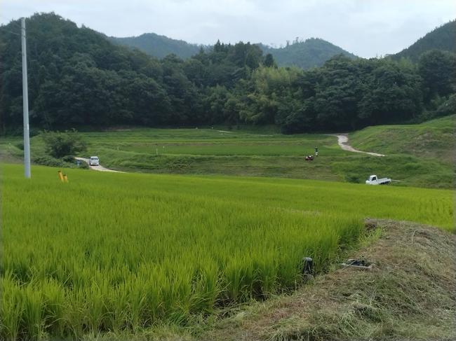 作業の省力化を進める「百姓天国」の水田＝８日、大田市三瓶町