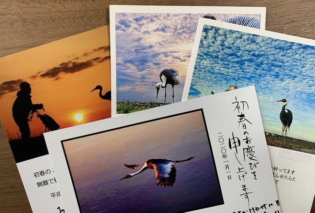 女性から届くおツルさんとの写真が添えられた年賀状