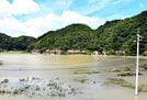 江の川が氾濫し、浸水被害が生じた集落＝１５日午前９時５０分、江津市川平町