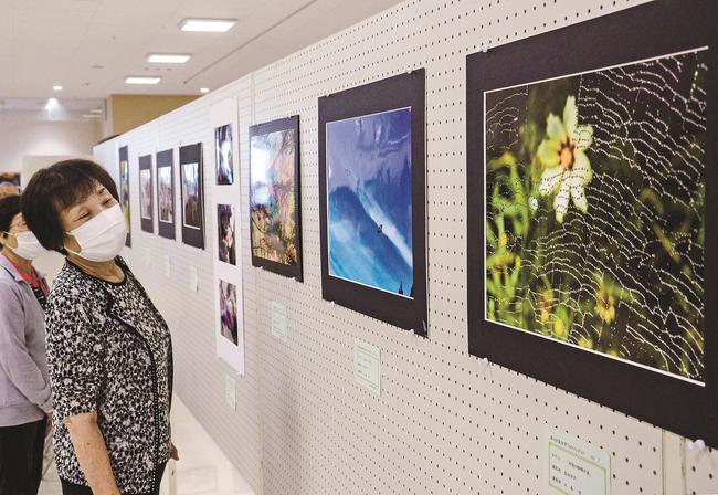 力作を鑑賞する来場者＝益田市常盤町、キヌヤ益田ショッピングセンター