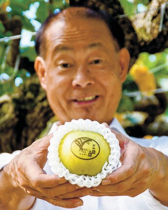 縁起物として販売する「百年樹　長樹まちがい梨」＝安来市久白町