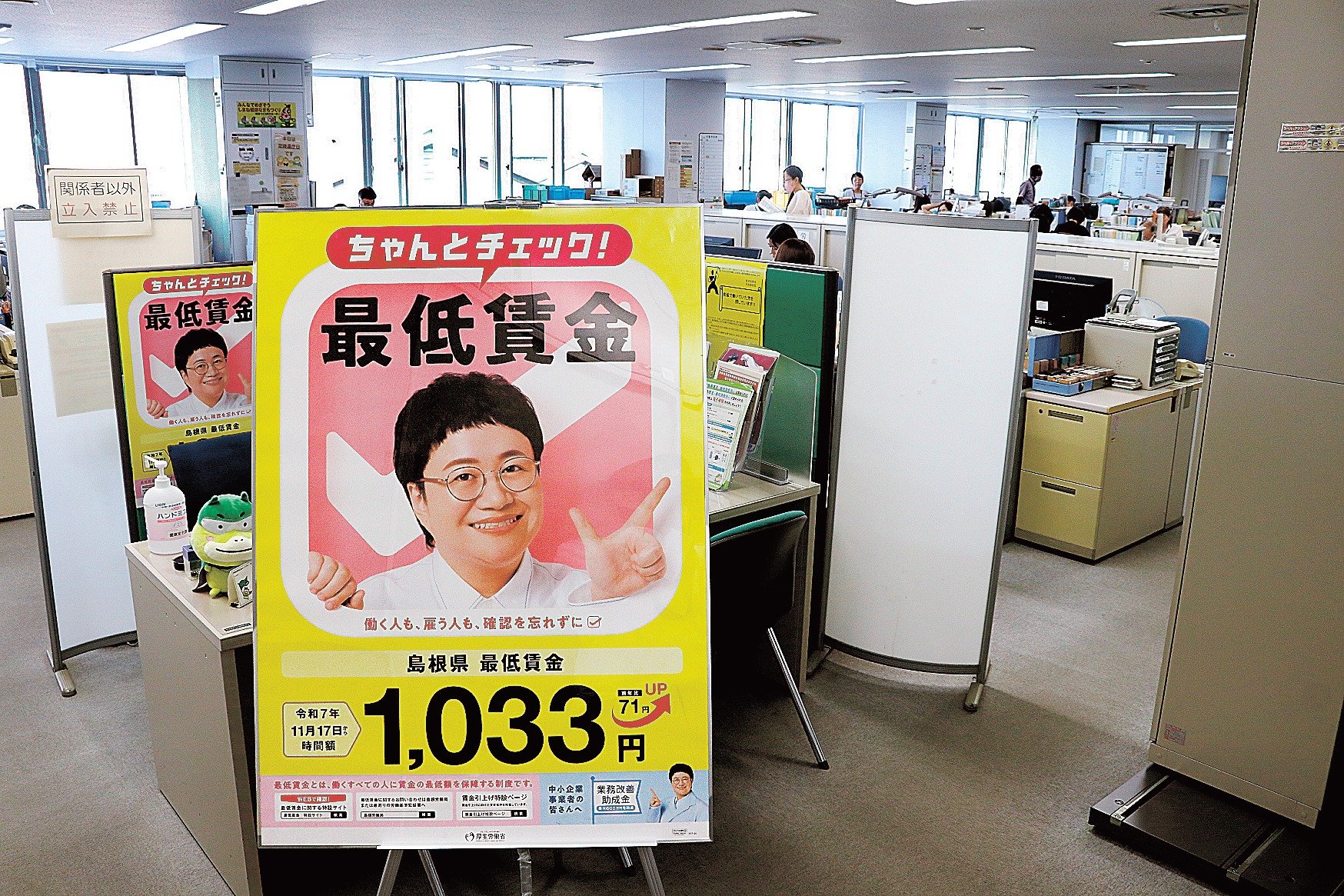 ❻ 金運UP イワヒバ 首長最上株物 超多株２０多幹３０年以上物 ➅ 金運UP イワヒバ 首長最上株物 超多株20多幹30