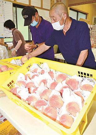 直売所に持ち込んだ「和田の桃」の出来栄えを確かめる桃和会の会員＝浜田市旭町和田