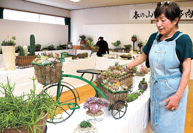 育てた多肉植物を紹介する岡田美智子さん＝出雲市多伎町口田儀、多伎文化伝習館
