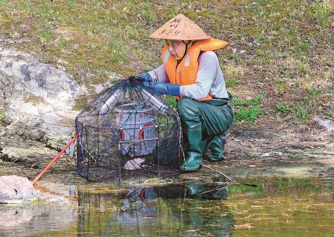 仕掛けたわなを確認する遠藤修一代表＝松江市殿町
