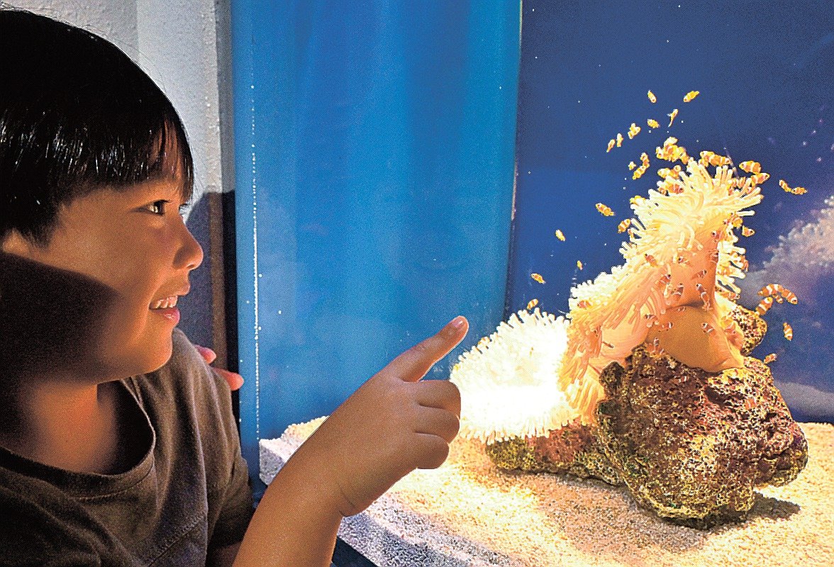 img_b985dae3e92eb359c3bd730b04