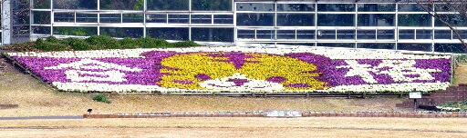 朝刊先読み 今年の干支を花で表現 山陰中央新報デジタル 朝刊先読み 今年の干支を花で表現 山陰中央新報デジタル