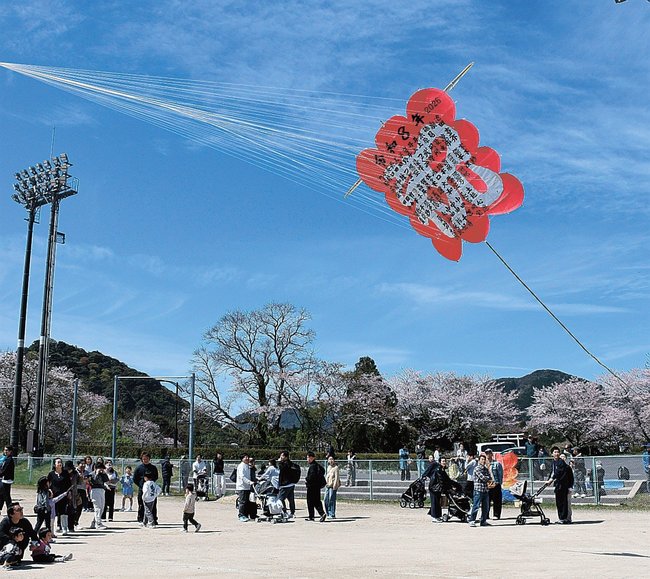 青空に舞い上がる祝い凧=島根県隠岐の島町栄町、町総合運動公園