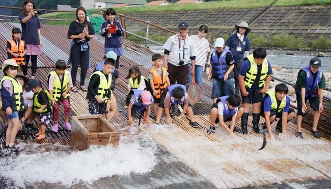 簗の上でアユを捕まえる子どもたち=島根県美郷町都賀西、江の川
