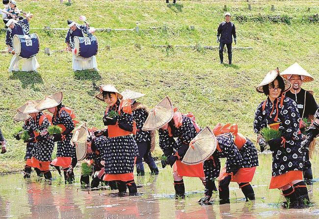 追神頭打供盛団（左奥）の太鼓や笛に合わせて苗を植える早乙女たち＝安来市広瀬町梶福留
