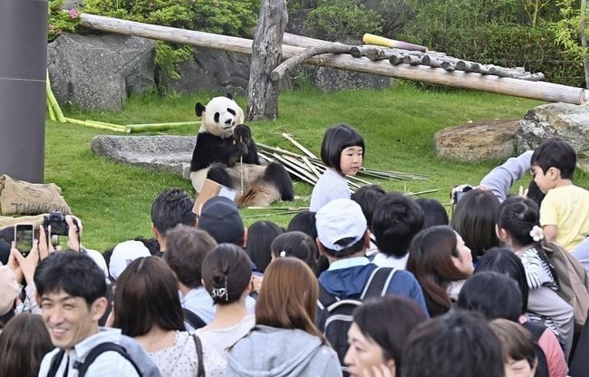 ジャイアントパンダ「結浜」を見るため訪れた大勢の観光客＝５月２４日、和歌山県白浜町のアドベンチャーワールド