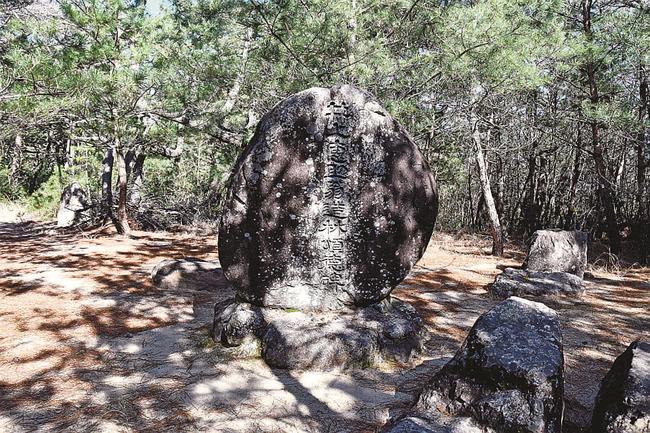 浜山南側の松林の中にある井上恵助の頌徳碑＝三角点付近
