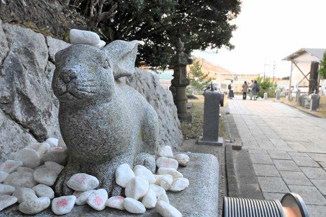 鳥取市の白兎神社近くの参道に並ぶ、うさぎの石像