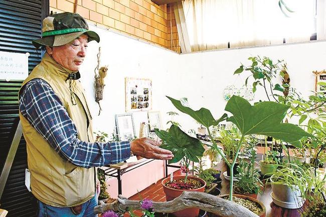 育てた山野草を紹介する栗原哲朗さん＝松江市玉湯町玉造、出雲玉作資料館