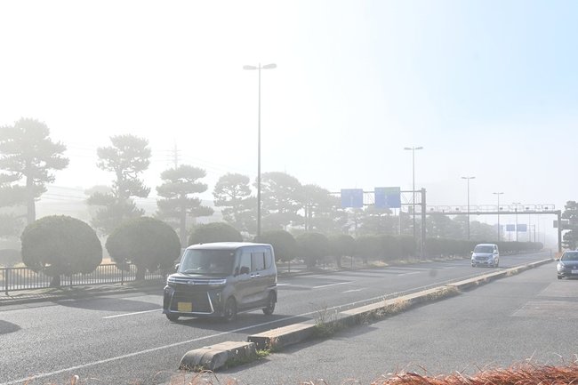 霧がかかった国道９号＝１９日午前９時４９分、松江市嫁島町（小引久実撮影、画像の一部を加工しています）