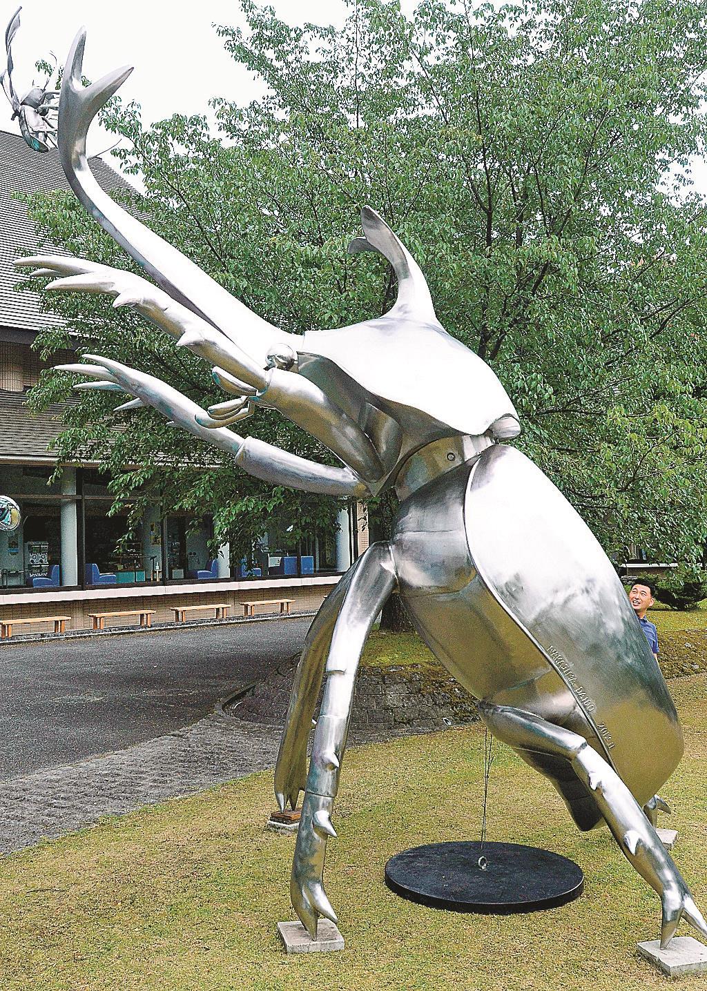 6メートルのカブトムシ サヒメル 昆虫展PR | 山陰中央新報デジタル