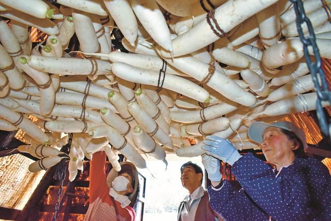 作業小屋で大根をつるす「やさか加工グループの会」のメンバー＝浜田市弥栄町三里